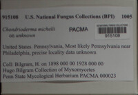 Image Associated With the Occurence